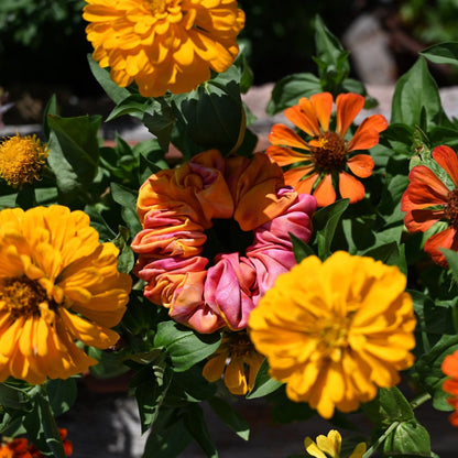 Flower Scrunchie - Crisantemo Saide Milano